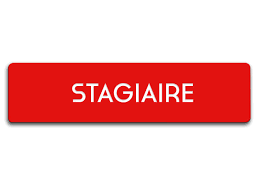 Résultats CAP Stagiairisation                     207ème Promo